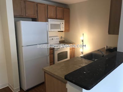 Dorchester Apartment for rent 2 Bedrooms 2 Baths Boston - $4,809 No Fee