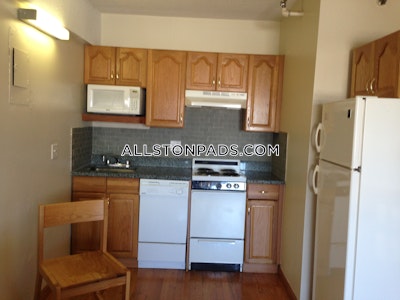 Allston Apartment for rent Studio 1 Bath Boston - $2,200 No Fee