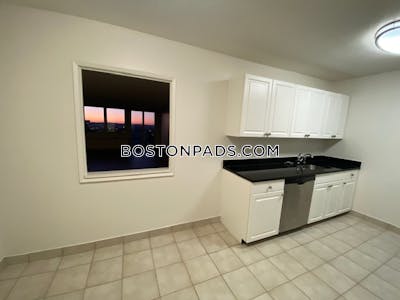 West End Apartment for rent 1 Bedroom 1 Bath Boston - $3,545