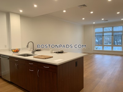 Brookline Apartment for rent 1 Bedroom 1 Bath  Chestnut Hill - $2,970 No Fee