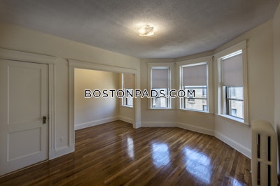 Allston Apartment for rent 1 Bedroom 1 Bath Boston - $2,400 No Fee