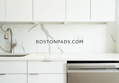 Brighton Apartment for rent 1 Bedroom 1 Bath Boston - $3,100 No Fee