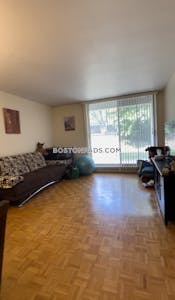 Brighton Apartment for rent 1 Bedroom 1 Bath Boston - $2,375