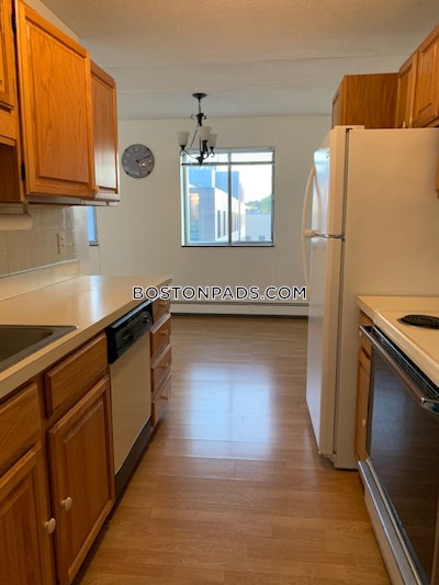 Allston Apartment for rent 1 Bedroom 1 Bath Boston - $2,600 No Fee