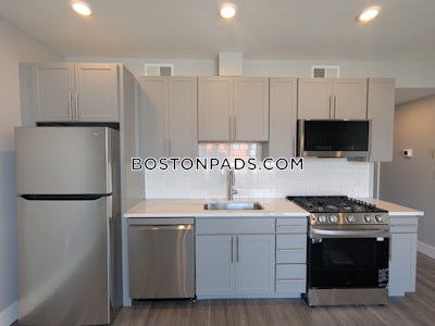 Brighton Apartment for rent 1 Bedroom 1 Bath Boston - $3,450 No Fee