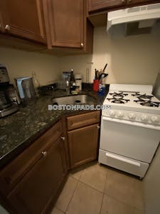 Northeastern/symphony Apartment for rent 2 Bedrooms 1 Bath Boston - $4,200 No Fee