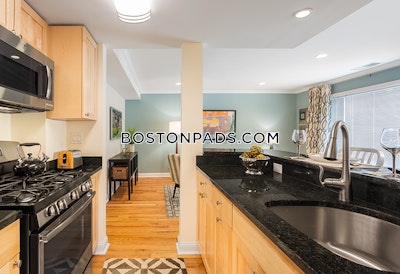 Brookline Apartment for rent 1 Bedroom 1.5 Baths  Chestnut Hill - $3,195 No Fee