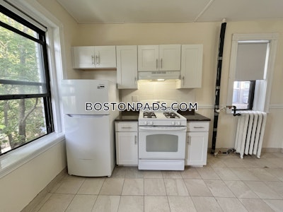 Allston Apartment for rent 1 Bedroom 1 Bath Boston - $2,150 No Fee