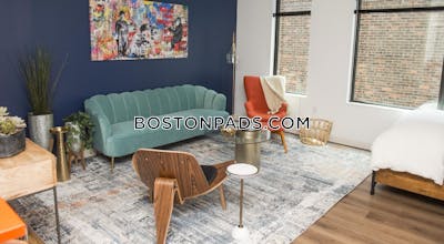 Allston Apartment for rent 1 Bedroom 1 Bath Boston - $3,891 No Fee